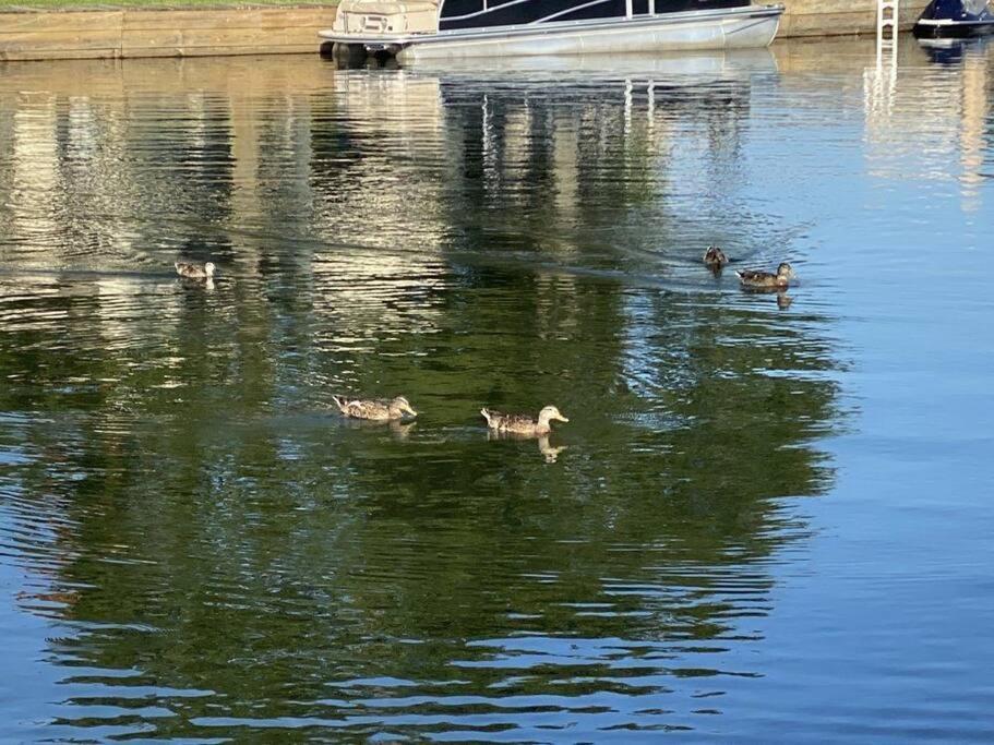Lakeside Daze! Монтгомери Экстерьер фото