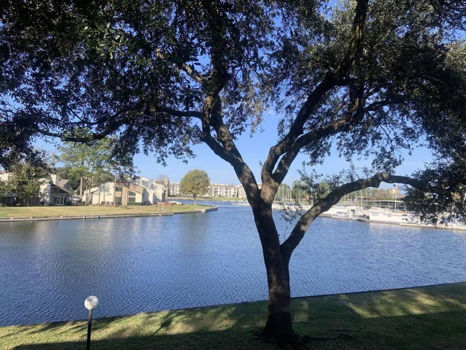 Lakeside Daze! Монтгомери Экстерьер фото